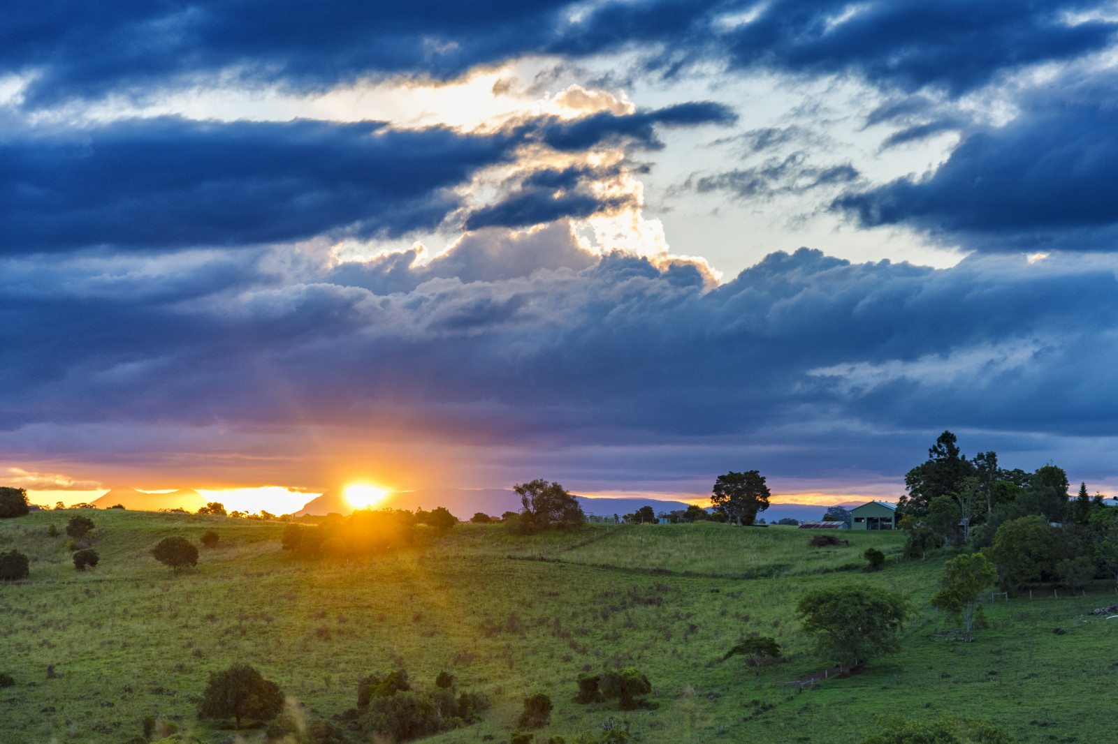 sky, cloud, horizon, field, dawn, morning, rural area, atmosphere, evening, grassland, sunlight, sunset, plain, landscape, tree, sunrise, grass, hill, ecoregion, dusk, prairie, meteorological phenomenon, meadow, savanna, farm, pasture, afterglow