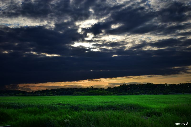 sollys, landskab, solnedgang, bakke, natur, græs sollys, landskab, solnedgang, bakke, natur, græs