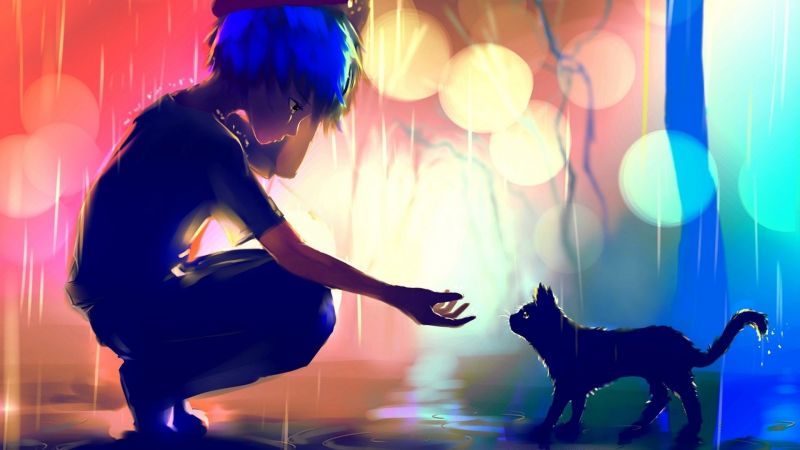 kočka, digitální umění, fantasy umění, barvitý, anime, déšť kočka, digitální umění, fantasy umění, barvitý, anime, déšť