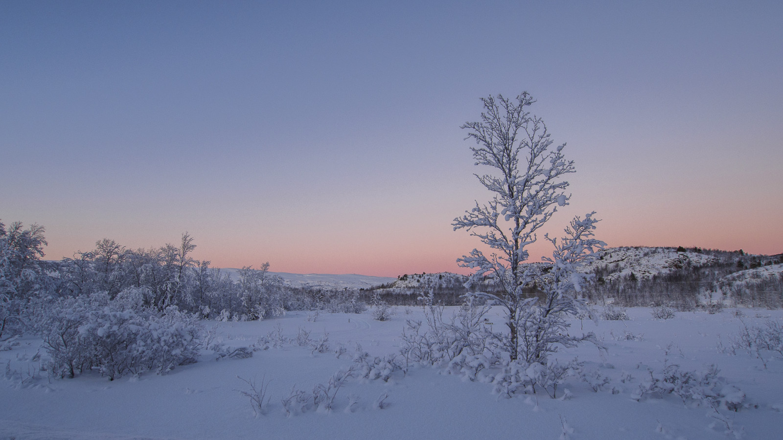 krajina, sníh, zima, svítání, Studený, Norsko, večer, ráno, mráz, Arktický, soumrak, zmrazení, Olympus, strom, den, hora, počasí, svítání, sezóna, severní, Vinter, OMD, EM5, norge, atmosférický jev, 918mm, f4056, m918mm