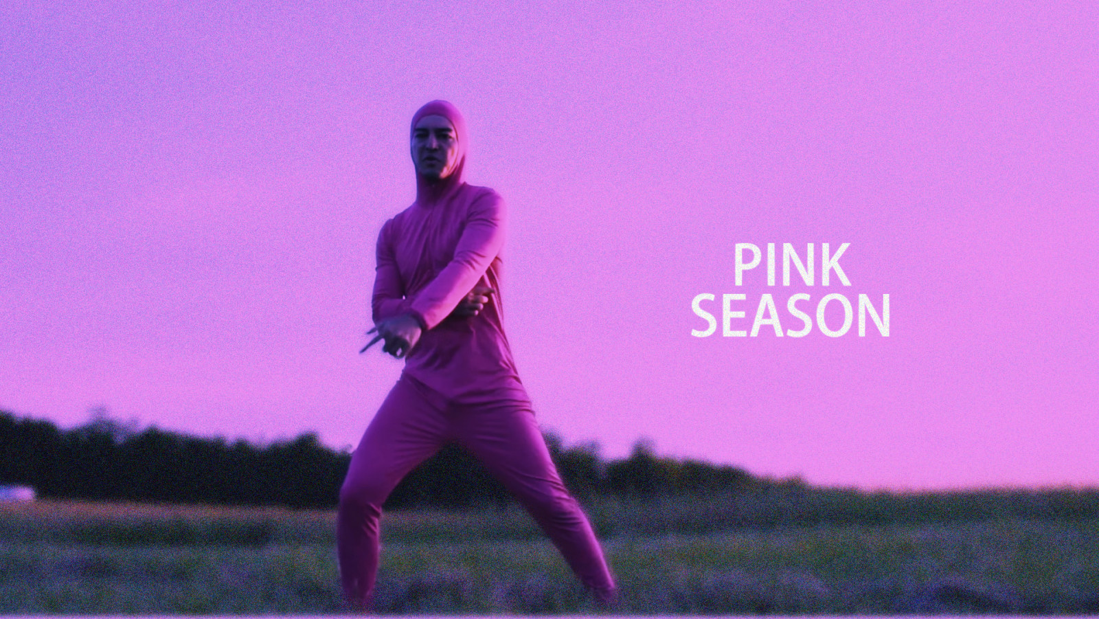 Wallpaper pink guy, humor 1920x1082 shem 1333709 HD Wallpapers