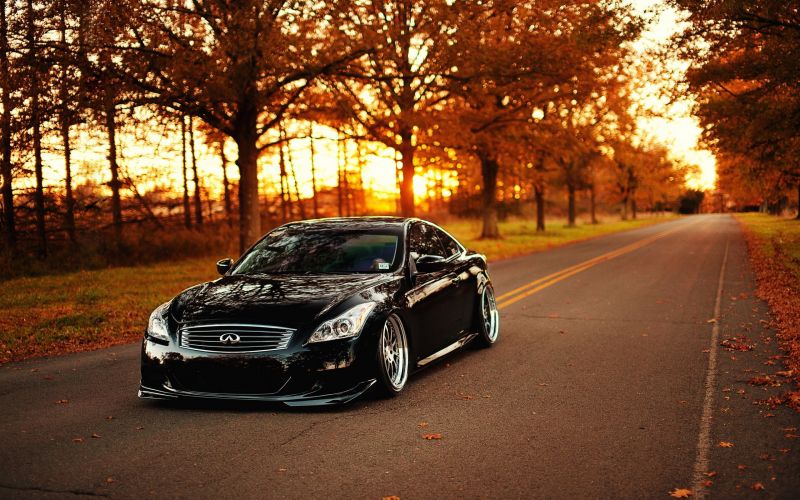 trees,road,car,vehicle,sports car,rims