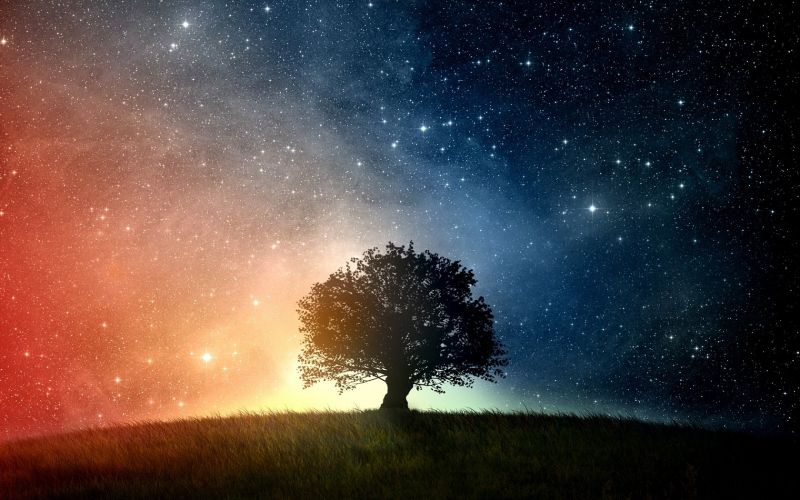 noc, nebe, atmosféra, stromy, galaxie, umělecká díla noc, nebe, atmosféra, stromy, galaxie, umělecká díla