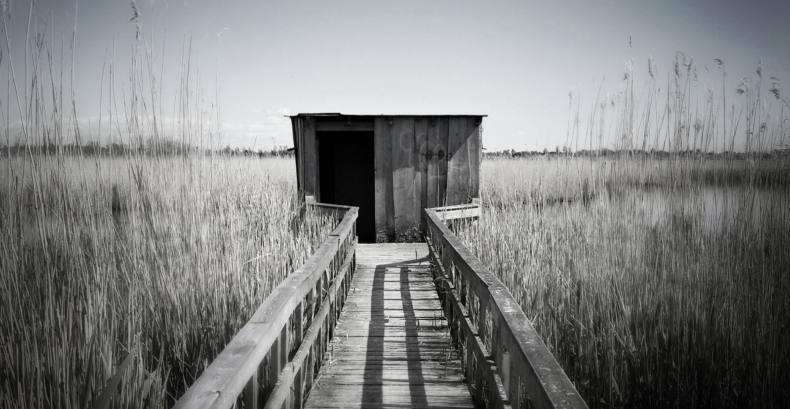 stín, letní, opuštěný, rákos, voda, Kodaň, Dánsko, dráha, náladový, venkovní, cesta, atmosféra, modrá obloha, stezka, přírodní rezervace, Viněta, pozorování ptáků, Secretpath, Woodenhut, 55 365891n12 334004