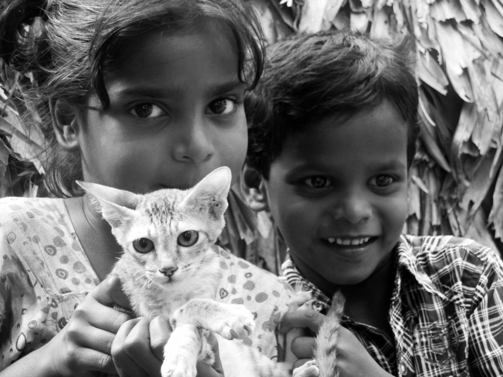 mennesker, hvid, sort, kat, Kvinder, monokrom, portræt, børn, fotografering, landsby, emotion, Person, hoved, Olympus, sort og hvid, barn, barndom, sort hvid, øje, fotografi, NGC, CWC, chennaiweekendclickers, øjebliksbillede, SZ10, Prasad, prasadphotography, prasadramachandranphotography, sort og hvid, monokrom fotografering, portrætfotografering, fotomontage