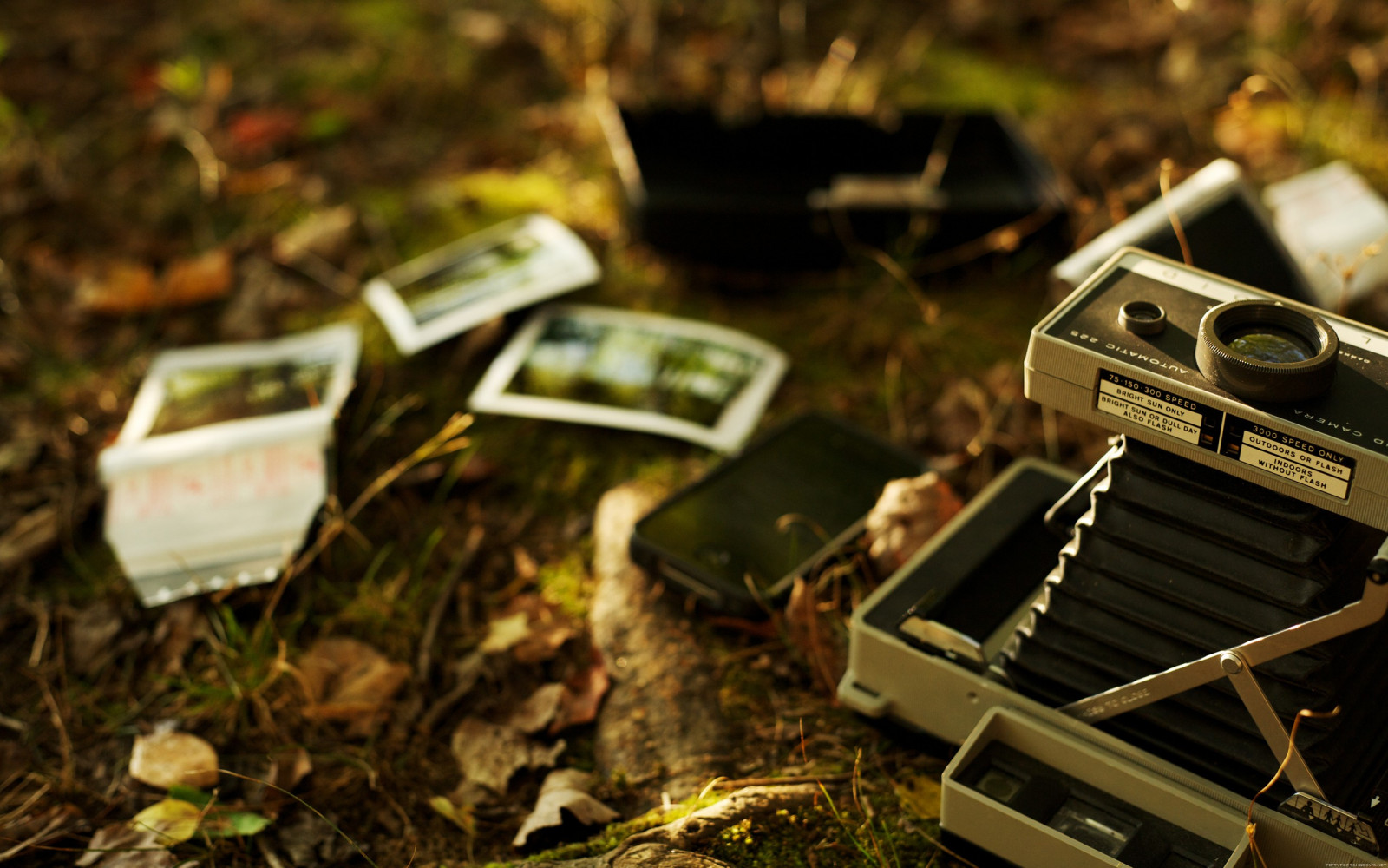 fotografování, zelená, Fotoaparát, technika, vinobraní, polaroidy, podzim, list, sezóna, odpad