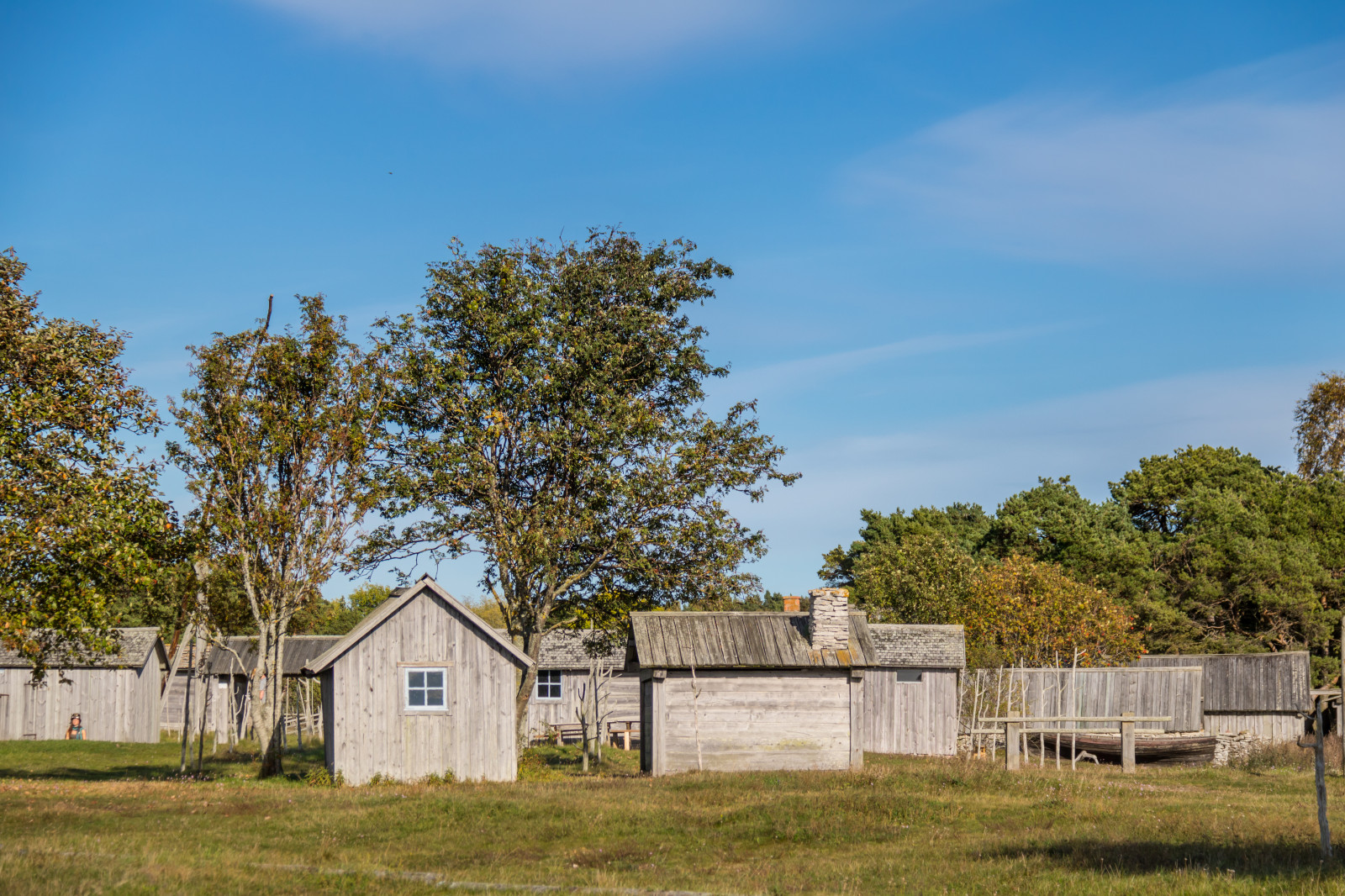 krajina, tráva, Dům, hospodařit, stodola, muzeum, majetek, strom, pastvina, domů, Gotland, attackfoto, attackfoto8, kovik, gotlandsfiskerimuseum, louka, ranč, venkov, obytný prostor, nemovitost