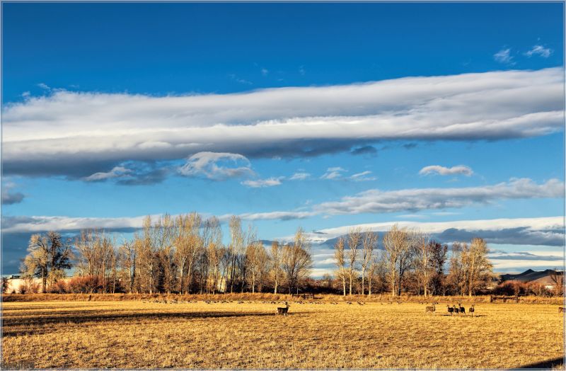 nebe, mrak, pole, lučina, ekosystém, prérie