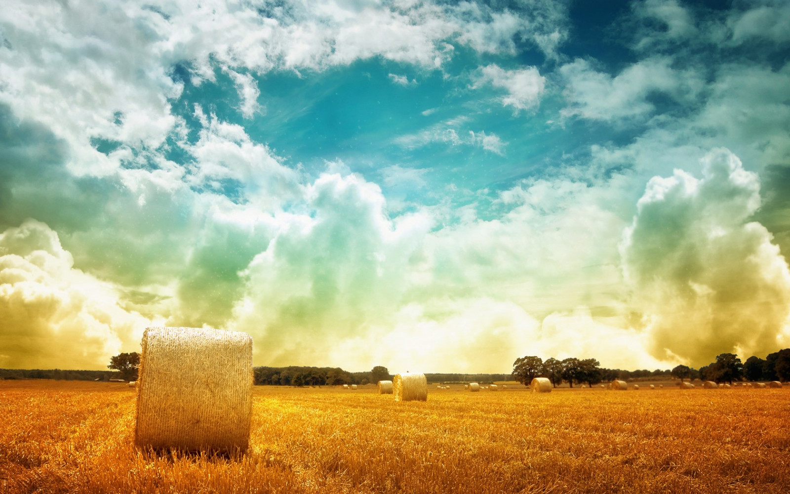 slunečnímu záření, krajina, Příroda, tráva, nebe, pole, mraky, ráno, horizont, pláně, mrak, lučina, zemědělství, louka, prostý, prérie, oříznutí, venkov, atmosférický jev, počítač tapeta, tráva rodina, meteorologický jev