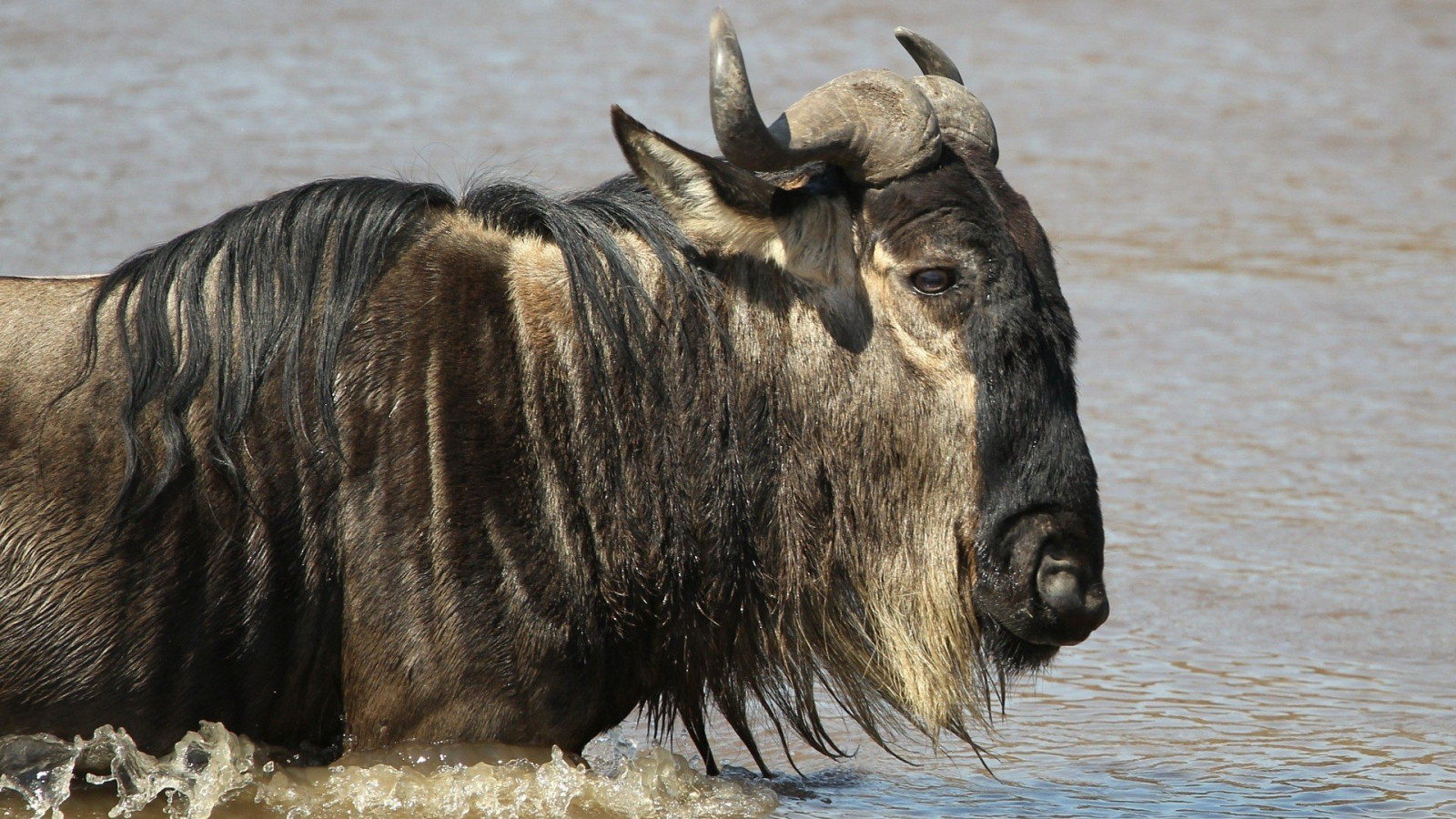 Wallpaper : 1920x1080 px, 522181 1920x1080 - CoolWallpapers - 1653103