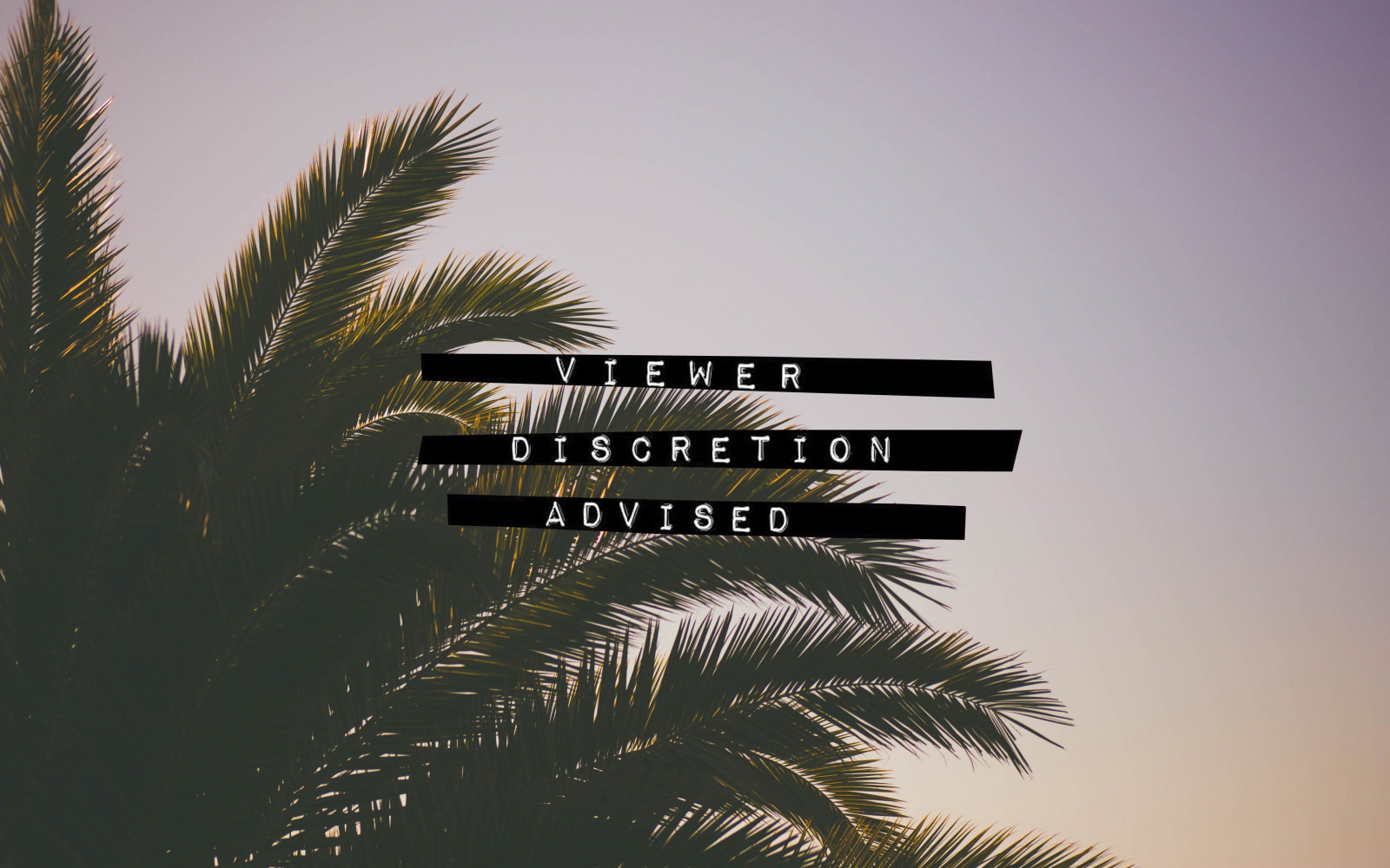 3840x2400 px, palmy, rostliny, typografie, psaní