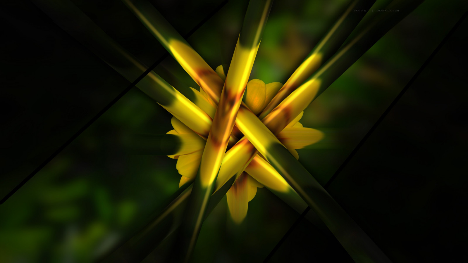slunečnímu záření, abstraktní, Příroda, tráva, fotografování, zelená, žlutý, světlo, list, květ, rostlina, flóra, čára, tma, okvětní lístek, počítač tapeta, zblízka, makro fotografie, závod stonek