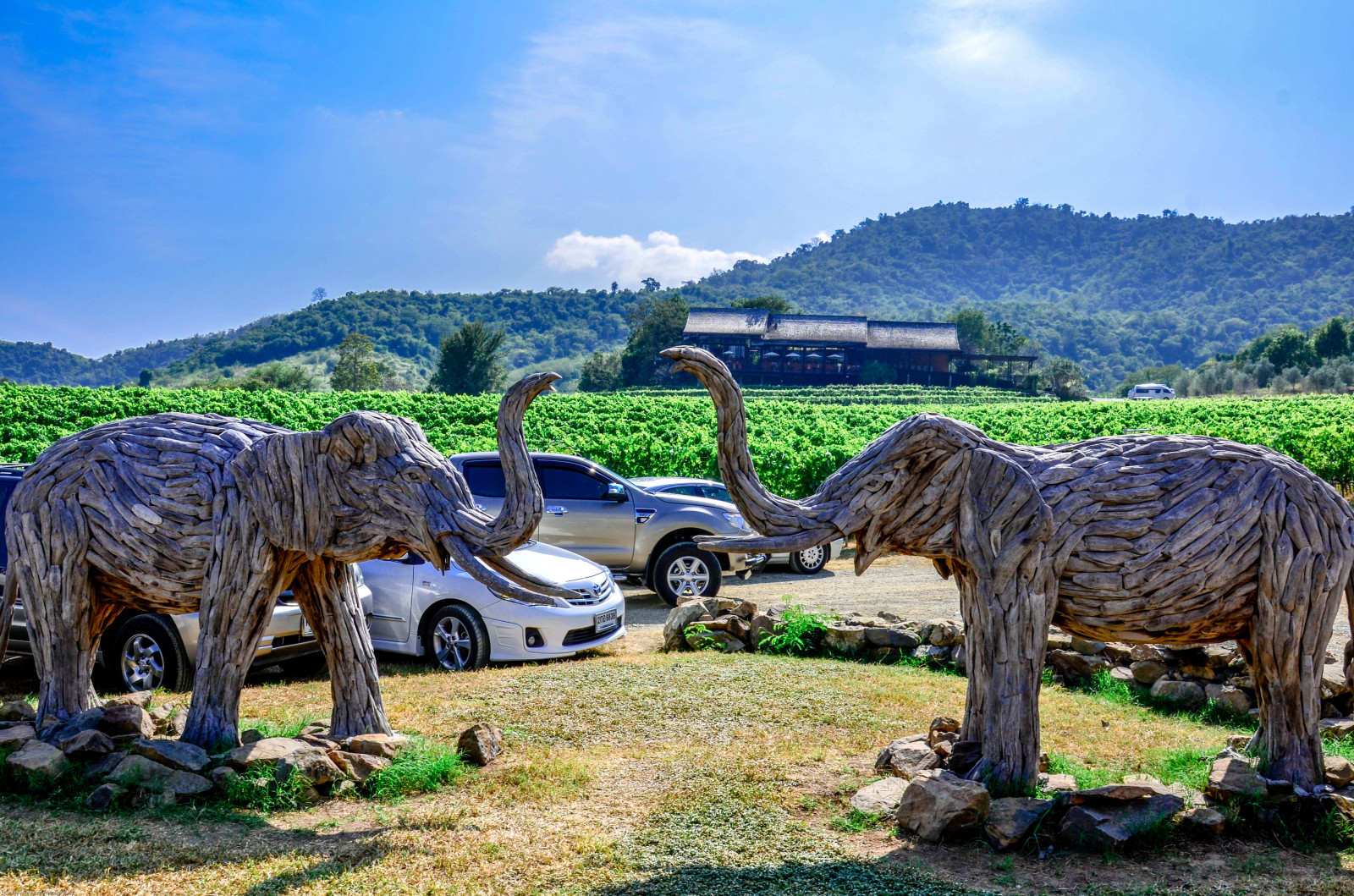 Thajsko, víno, vinné sklepy, Hua, zájezdy, hin, siam