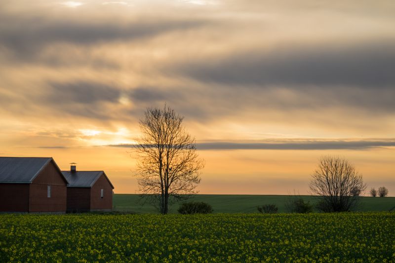 luce del sole,paesaggio,tramonto,collina,natura,erba