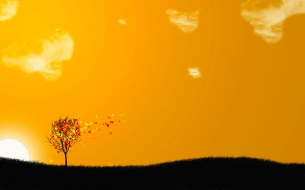 trees, digital art, sunset, sunlight, sky, field