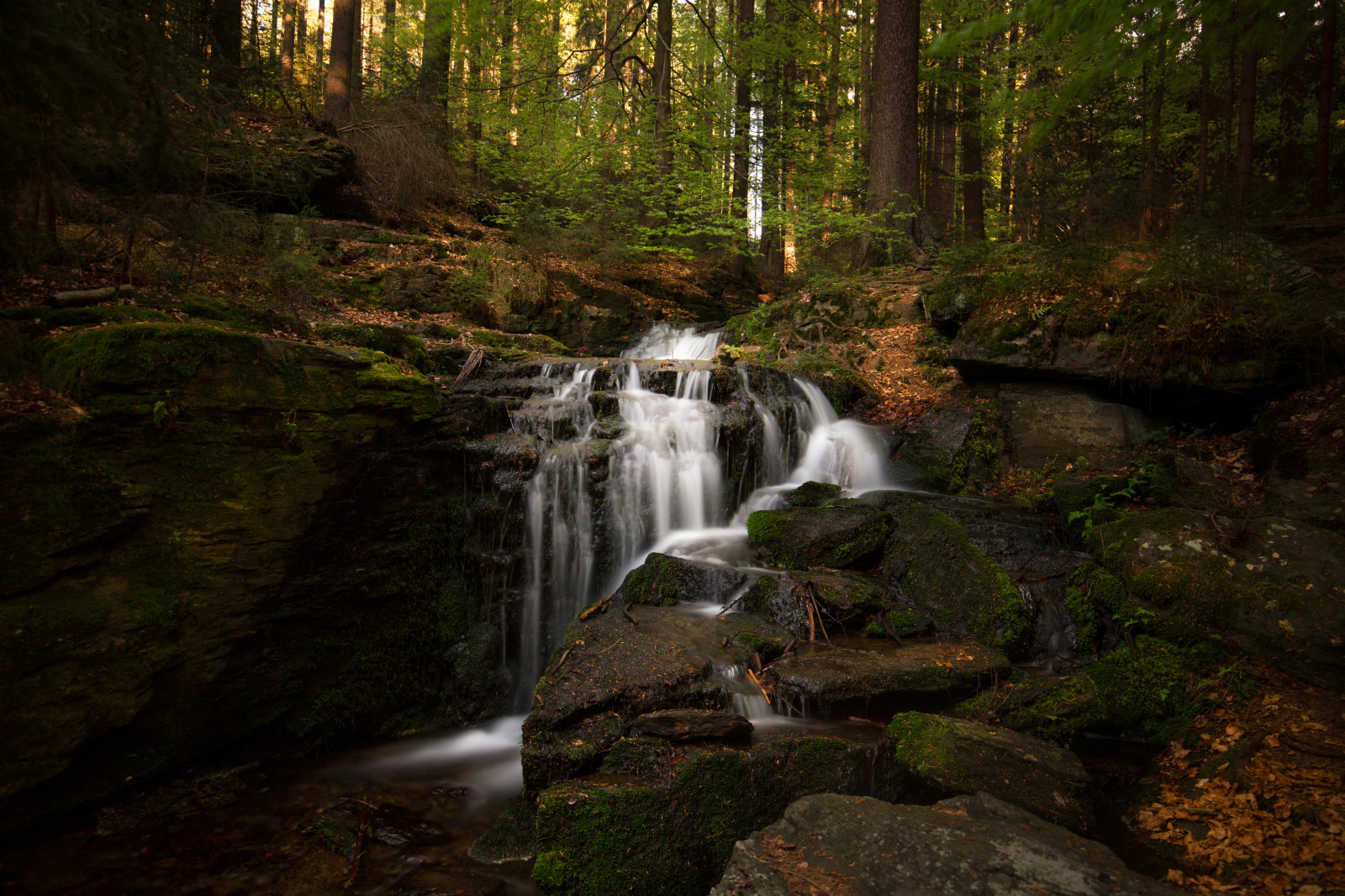Sonnenlicht, Bäume, Landschaft, Beleuchtung, bunt, Wald, schwarz, Wasserfall, Wasser, Rock, Natur, Betrachtung, Himmel, Steine, Pflanzen, Holz, Moos, Grün, Gelb, blau, Deutschland, Fluss, Tierwelt, Orange, Schal, Platz, Felsen, Stein, Leben, Sonnig, Wildnis, Strom, Frühling, Bayern, Regenwald, Naturschutzgebiet, Deutsche, Schlucht, F4, Licht, Langzeitbelichtung, Belichtung, Farbe, Baum, Herbst, Blatt, Farben, Flickr, Landschaft, Pflanze, wild, natürlich, Sonnenschein, draußen, Scape, Outdor, Natur, Deutschland, Wasserlauf, Vegetation, Land, Bach, 6d, Wald, Withe, Bayern, Wasser, Langzeitbelichtung, Quadratformat, Fluss, Format, farbig, Vollformat, Wald, Wasserfall, 1635, Gewässer, Alter waldwald, Wasser-Funktion, Bach, Wassertropfen, Staatspark, Fruhling, Arroyo, Oberpfalz, Wasservorräte, Nebenfluss, Coor, fluvial landforms of streams