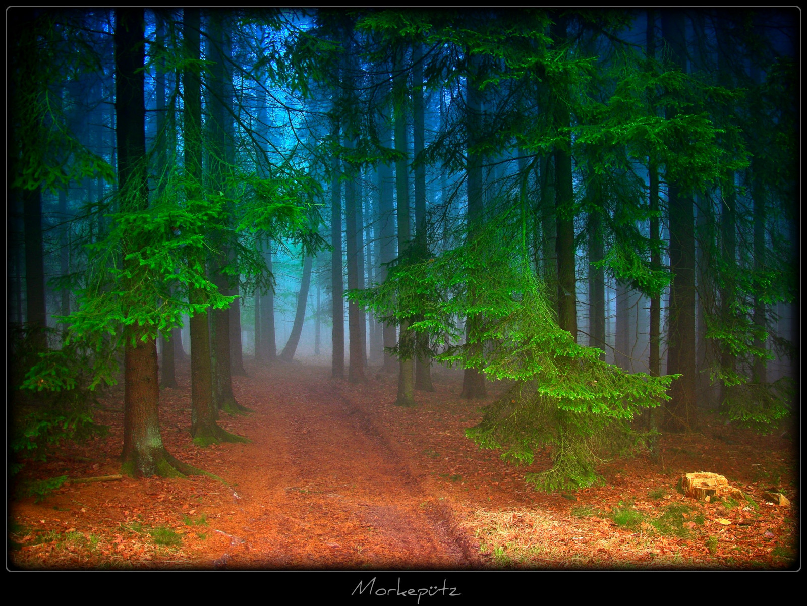 slunečnímu záření, les, Příroda, dřevo, větev, zelená, ráno, Německo, mlha, kouzlo, prach, džungle, cesta, zakletý, UMĚNÍ, světlo, strom, podzim, mlha, cesta, elitegalleryaoi, tma, tvořivý, mystik, theunforgettablepictures, bestcapturesaoi, Snímek obrazovky, colorphotoaward, Oberberg, platinumsuperstar, vanagram, zálesí, specialpicture, místo výskytu, přírodní prostředí, atmosférický jev, počítač tapeta, geografický rys, ekosystém, biome, thesuperbmasterpiece, mysical