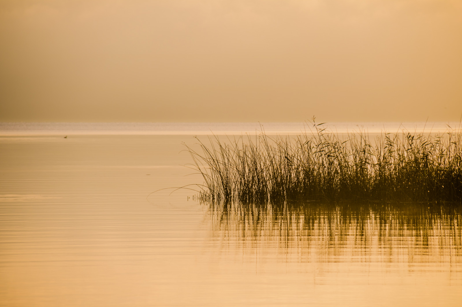 slunečnímu záření, západ slunce, moře, jezero, voda, pobřeží, odraz, svítání, večer, ráno, mlha, slunce, horizont, soumrak, Klid, klid, svítání, oceán, vlna, h r, sj, soluppg ng, gryning, exif modelu canoneos760d, geocountry, Kamera aby kánon, geocity, Model fotoaparátu canoneos760d, geostate, geolocation, EXIF čočka efs18200mmf3556is, exif focallength 200mm, exif aby kánon, EXIF isospeed 100, EXIF otvor 71, ringsj n, straringsj n, atmosférický jev, tráva rodina