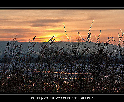 krajina, Photoshop, 500px, západ slunce, jezero, Příroda, tráva, nebe, zima, pole, svítání, uklidnit, večer, ráno, Německo, slunce, Kánon, horizont, atmosféra, rám, soumrak, Drsný, Přátelé, Google, Adobe, Lightroom, paysage, YAHOO, 2009, mrak, flickr, svítání, paisaje, natur, dSLR, sigma, obraz, flickraward, eos, anawesomeshot, abigfave, fauna, Soe, theunforgettablepictures, awesomeblossoms, photographyrocks, mywinners, platinumphoto, diamondclassphotographer, flickrdiamond, betterthangood, blueribbonwinner, goldstaraward, thebestofday, flickrlovers, rubyphotographer, colorphotoaward, shieldofexcellence, supershot, dragondaggerphoto, prérie, outstandingshots, doubledragonawards, qualitypixels, flickrsmasterpieces, odlesk, tráva rodina, oliver, chráněné autorskými právy, canoneos450d, jediphotographer, unusualviewsperspectives, totalphoto, oneofmypics, beautifulshot, thelightpainterssociety, photographersgonewild, Pixelwork, Oliverhoell, Allphotoscopysystém, Sigma70200mmex28dgmacrohsmii, Pixelworkfotografie, Pixelwork 09fotografie