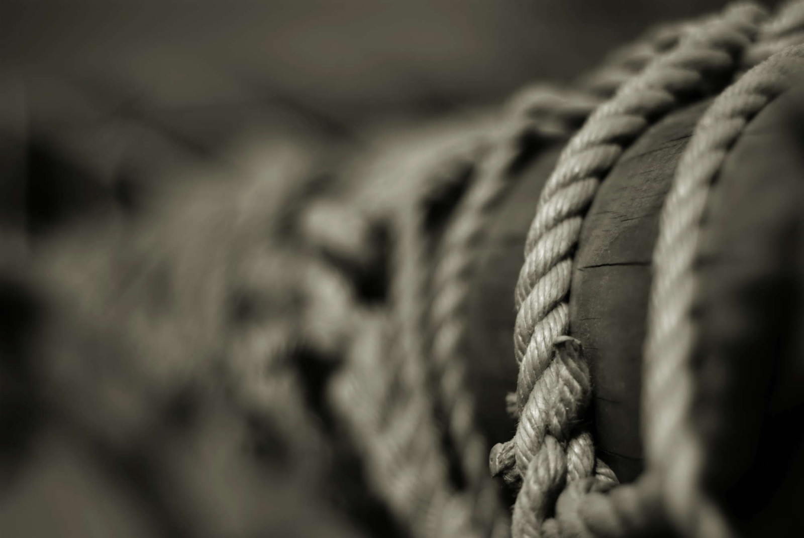 Wallpaper : ropes, hand, wing, black and white, monochrome photography