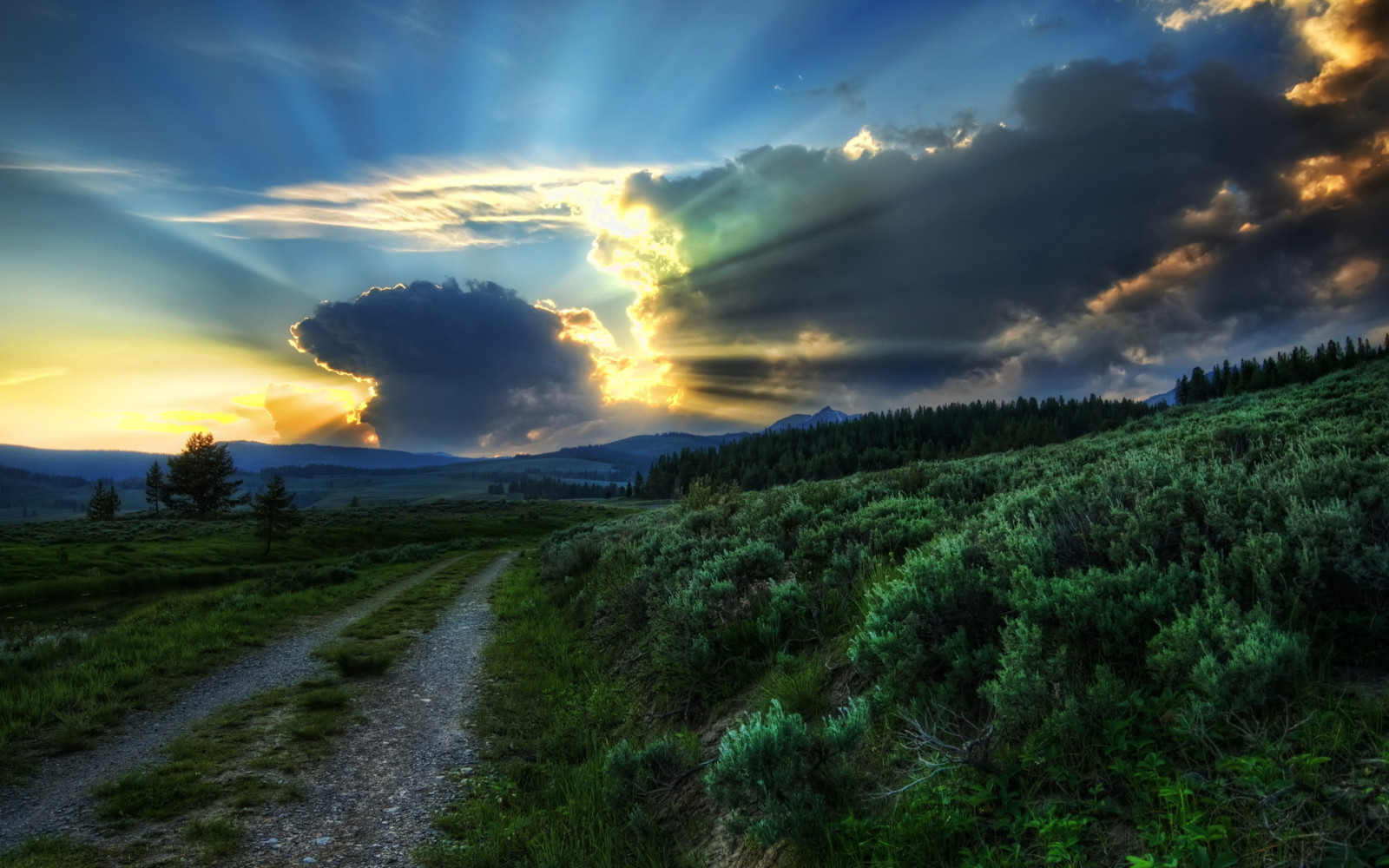 1920x1200 px, palkit, pilviä, HDR, Maisemat, luonto, kasvit, säteet, tiet, taivas, auringonvalo, auringonnousu, auringonlasku, Puut