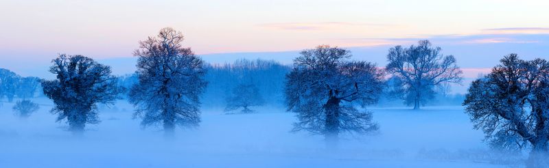 Schnee, Sonnenlicht, Bäume, Landschaft, Wald, Natur