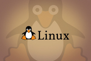 デスクトップ壁紙 ペンギン ロゴ Linux タックス オープンソース 嘴 グラフィックス 2560x1600 Px コンピュータの 壁紙 飛べない鳥 フォント 2560x1600 4kwallpaper 1053 デスクトップ壁紙 Wallhere