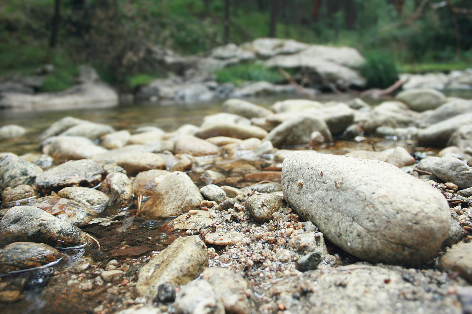 stromy, kontrast, les, voda, Skála, Příroda, fotografování, zelená, Fotoaparát, hnědý, řeka, Volně žijících živočichů, Kánon, Španělsko, letní, bokeh, proud, šťastný, Madrid, chůze, Balvan, Segovia, bezpečný, Krásná, cestovat, Procházka, barvy, málo, fotografie, Rio, naturaleza, sierra, Barvy, Bosque, arboles, agua, arbol, detail, materiál, víkend, geolocation, tumblr, výlet, návštěva, životní styl, místa, eos, ohromující, viajar, cesta, turist, dýchat, 400D, espana, lugares, geologie, objevit, geograficky, koryto, obzvláštní, odpojit, descubrir, healty, localizaci n, invernal, bocadelasno, desconectar