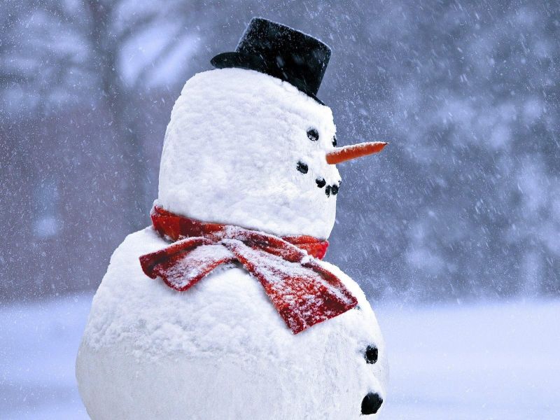 la neve, inverno, pupazzo di neve, Congelamento, pupazzi di neve, tempo metereologico la neve, inverno, pupazzo di neve, Congelamento, pupazzi di neve, tempo metereologico