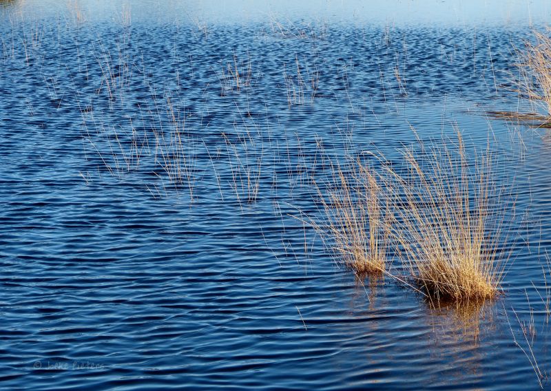 nebe, voda, moře, vodní zdroje, odraz, oceán