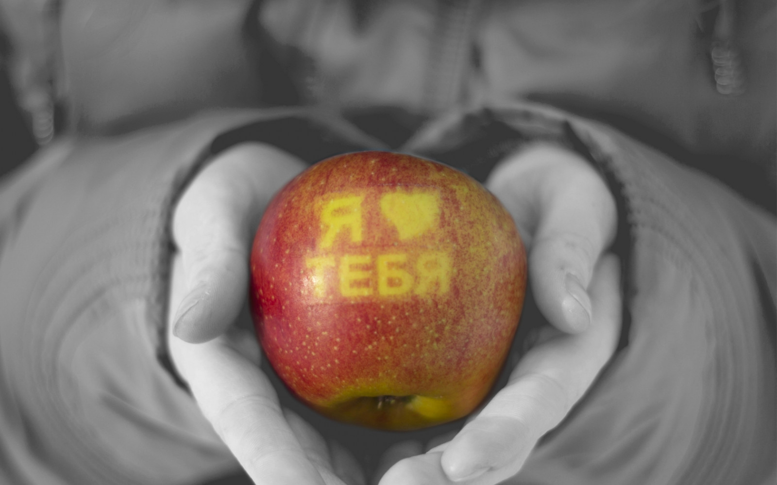 Wallpaper hand, apple, recognition 1680x1050 CoolWallpapers