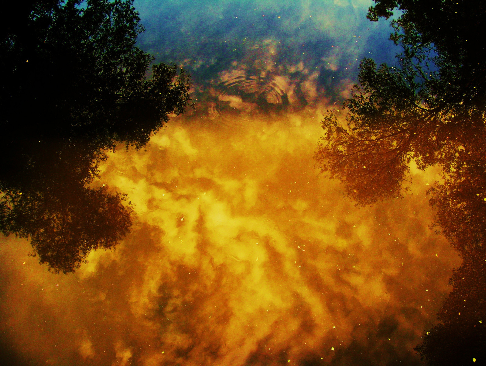 himmel, natur, atmosfære, atmosfære af jord, morgen, sollys, geologisk fænomen, løbeild, fænomen, efterglød, røg, Sky, landskab, aften, computer tapet, træ, Skov, græs, daggry, meteorologisk fænomen