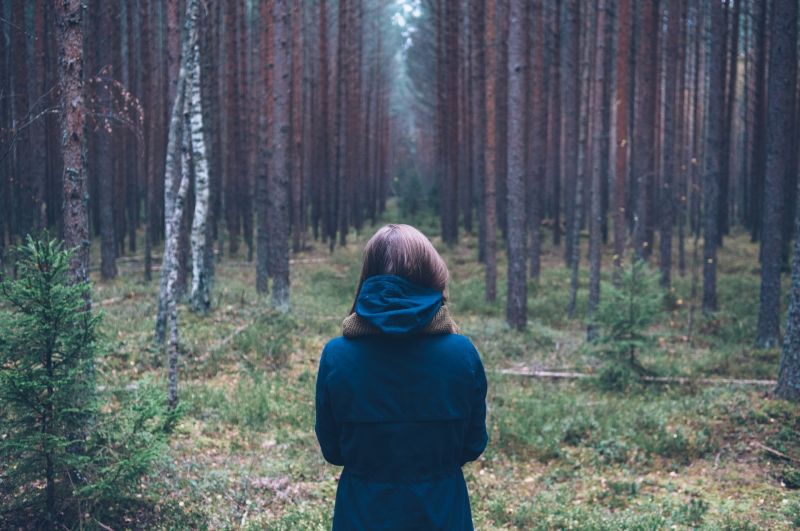 bomen, landschap, Bos, vallen, women outdoors, natuur bomen, landschap, Bos, vallen, women outdoors, natuur