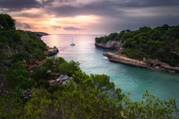 light,sea,summer,sky,reflection,trees