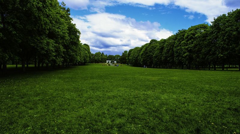 sollys,landskap,skog,høyde,natur,gress