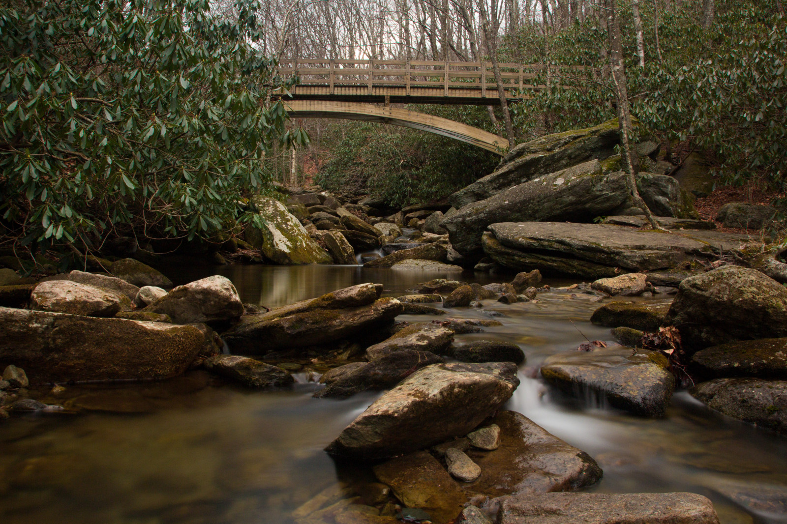 krajina, les, voda, Skála, Příroda, odraz, větev, most, řeka, proud, Potok, banka, přírodní rezervace, alpská růže, strom, hora, rostlina, vodní tok, zátoka, canon60d, Severní Karolina, zálesí, tělo z vody, vodní prvek, vavřín, národní park, blueridgeparkway, dědeček, BRP, koryto, arroyo, vodní zdroje, Mountainstosea, Horské továrny, přítok, riparian zone, fluvial landforms of streams
