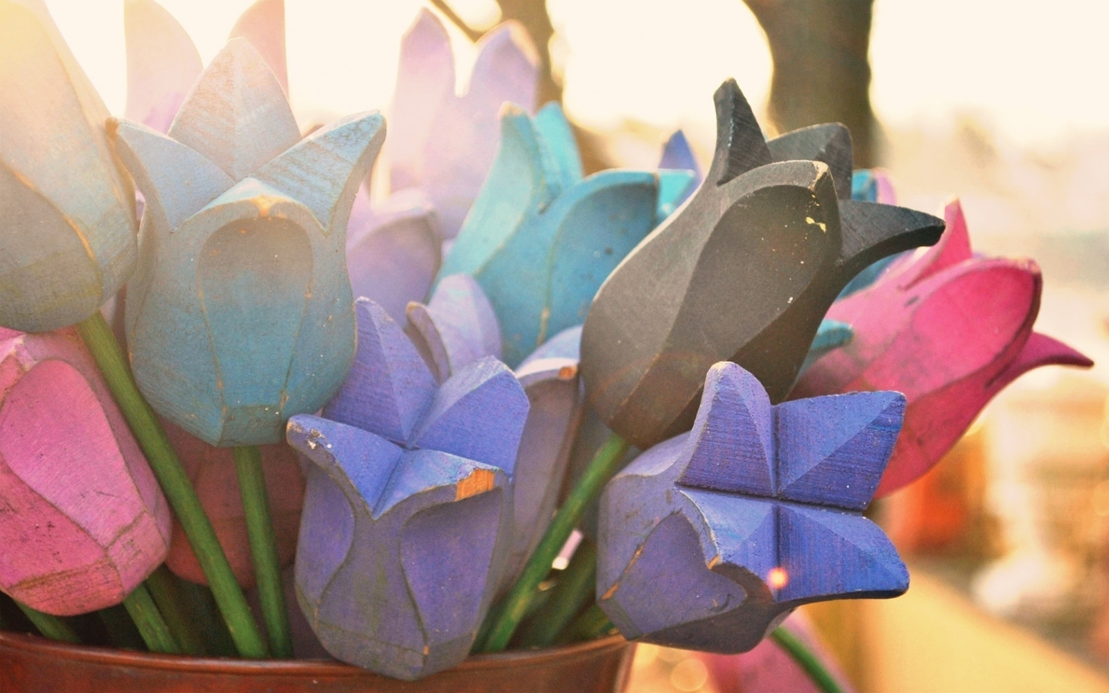 Wallpaper flowers, wood, tulips, Sun 1680x1050 wallpaperUp 664459 HD Wallpapers WallHere