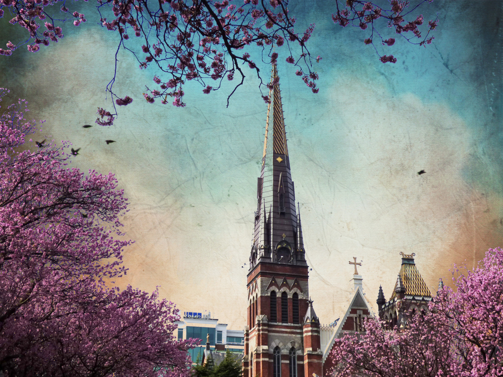 paesaggio, la pittura, natura, cielo, viola, ramo, grattacielo, Torre, struttura, fiore di ciliegio, atmosfera, fiorire, primavera, metropoli, guglia, nube, albero, foglia, fiore, pianta, sakura, punto di riferimento, giorno, Isola di Vancouver, victoriabc, sfondo del computer, pianta legnosa, area metropolitana, fenomeno meteorologico, stock photography, visual arts