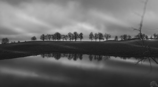 landscape, forez, relfections, reflets, Loire, pond