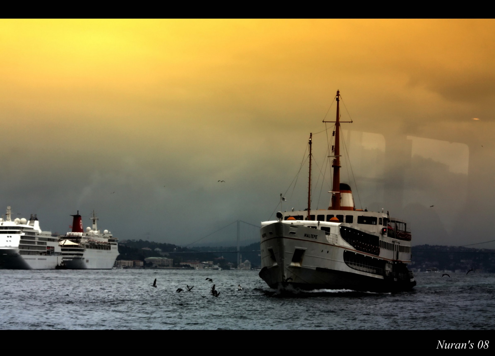 loď, loď, moře, záliv, vozidlo, pobřeží, most, Istanbul, krocan, přístav, jachta, trajekt, oceán, racek, plavidlo, rybářské plavidlo, nákladní doprava, Nuran, osobní loď, Turkiye, zaoceánský parník, Marti, k pr, vapur