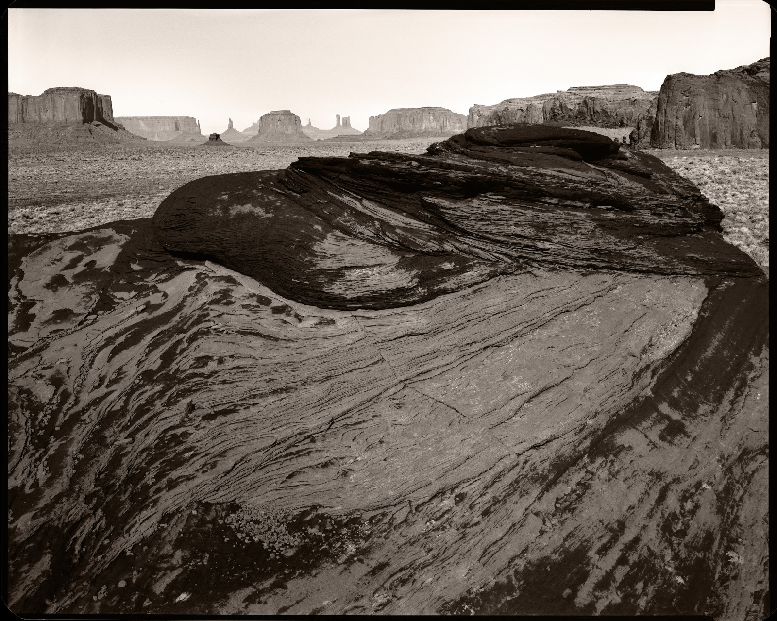 Bw, Sepia, XRAY, Ebenholz, Gitzo, Rodenstock, Pyrocathd, Rw810, Kodakektascanbraxrayfilm