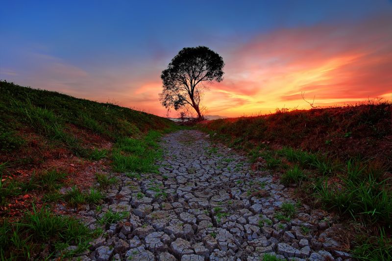 sunlight, trees, landscape, forest, sunset, hill sunlight, trees, landscape, forest, sunset, hill