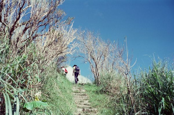 Leica, M3, grass, hiking, walking, fujifilm