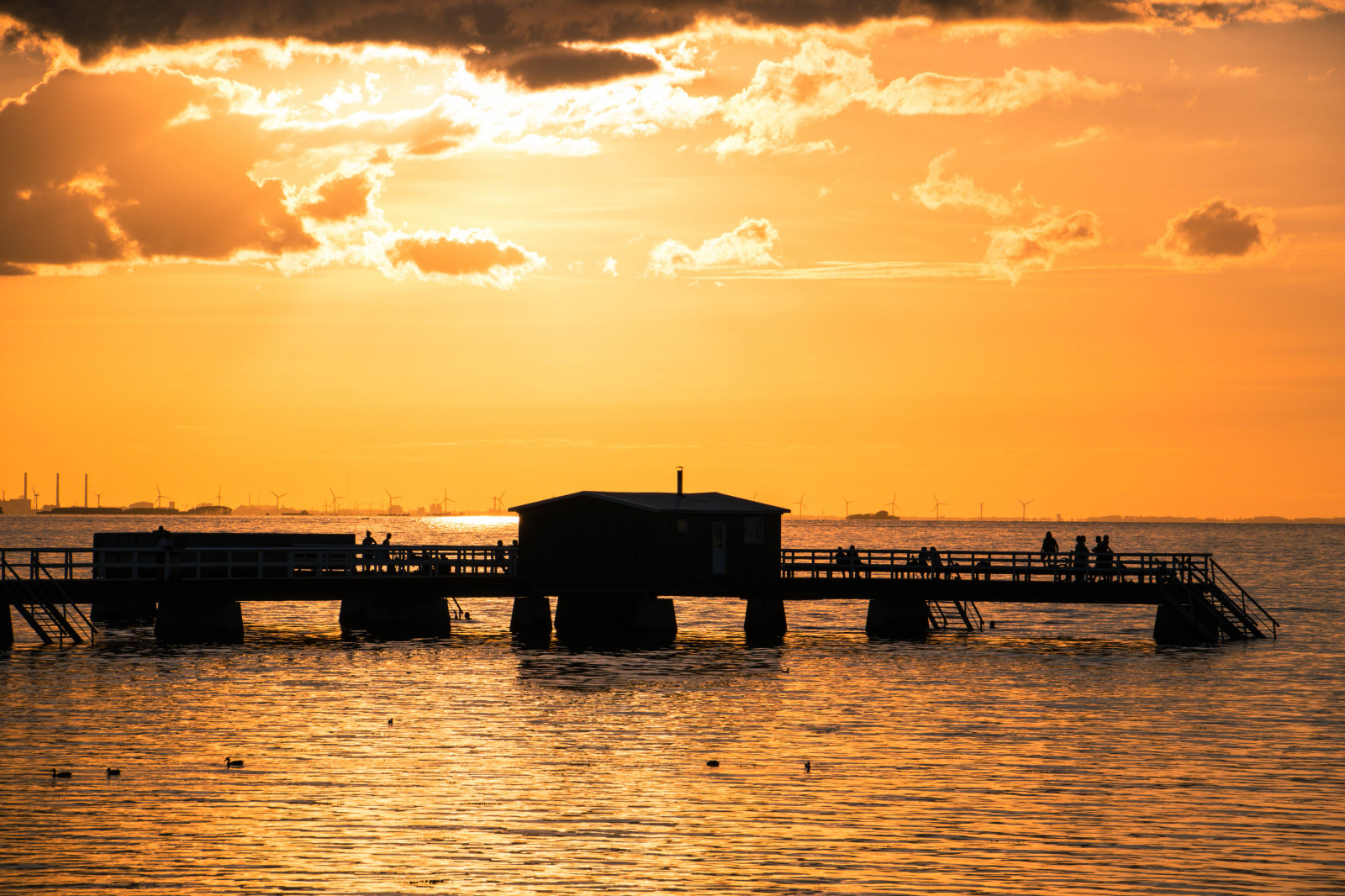 mennesker, solnedgang, hav, vand, afspejling, silhuet, strand, solopgang, aften, morgen, kyst, bro, Sol, horisont, sommer, mole, Sverige, skumring, Sverige, lys, Sky, daggry, udendørs, ocean, bølge, sk nel n, SE, Ribersborg, Ribban, resund, streng, Brygga, solnedg ng, brygga3, siluett, hav, malmø, tbryggan, efterglød