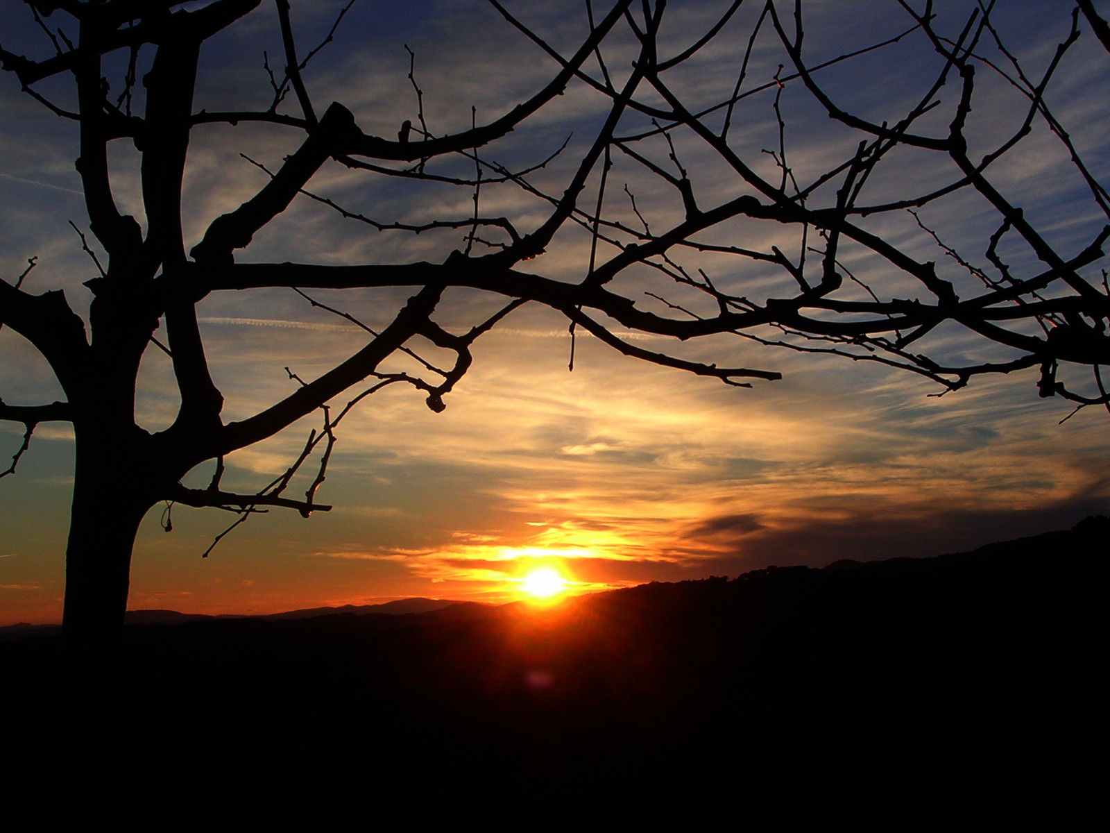 Sonnenlicht, Landschaft, Sonnenuntergang, Himmel, Silhouette, Ast, Sonnenaufgang, Abend, Morgen, Sonne, Horizont, Atmosphäre, Dämmerung, Sol, Wolke, Baum, Dämmerung, Cielo, Atardecer, Dunkelheit, Mywinners, Zweig, Computer-Tapete, Nachglühen, Astronomisches Objekt, Roter himmel am morgen, Meteorologisches Phänomen