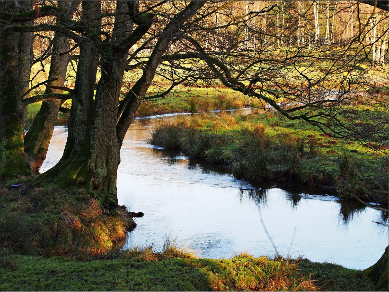 krajina, les, jezero, voda, Příroda, odraz, park, ráno, řeka, divočina, rybník, proud, 2015, mokřadní, strom, podzim, list, květ, rostlina, sezóna, ostseeleuchte, zálesí, venkov, místo výskytu, přírodní prostředí, vodní, dřevina, northerngermany, Eekholt, eekholtwildlifepark, wildparkeekholt, naturbelassenelandschaft, gr se67hektar, moorundheidelandschaft