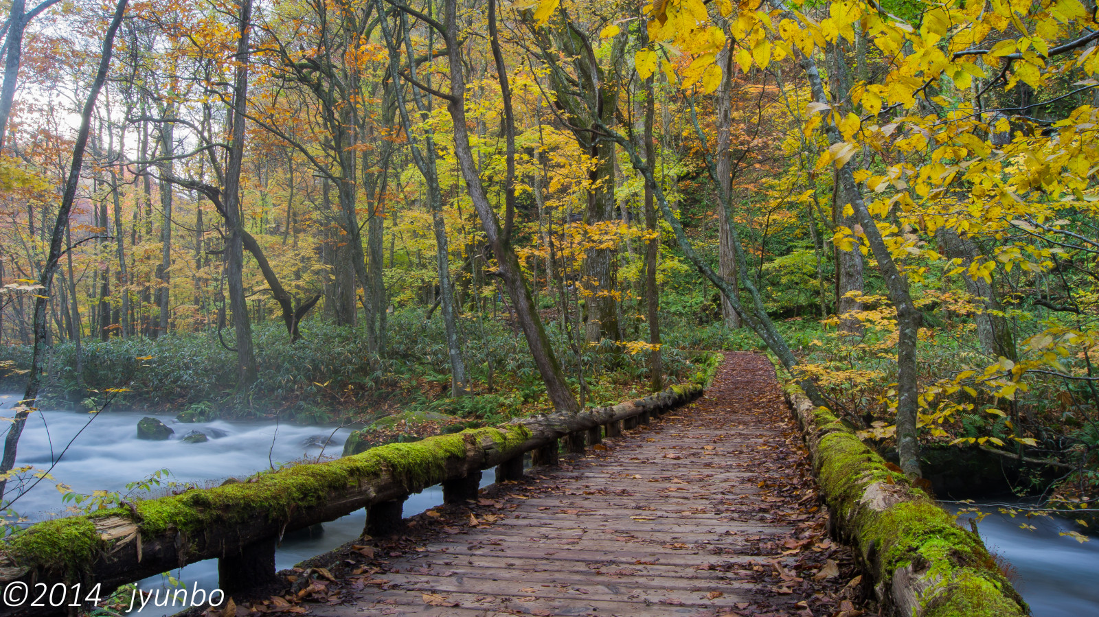 podzim, Japonsko, Aomori, Towada, Oirase