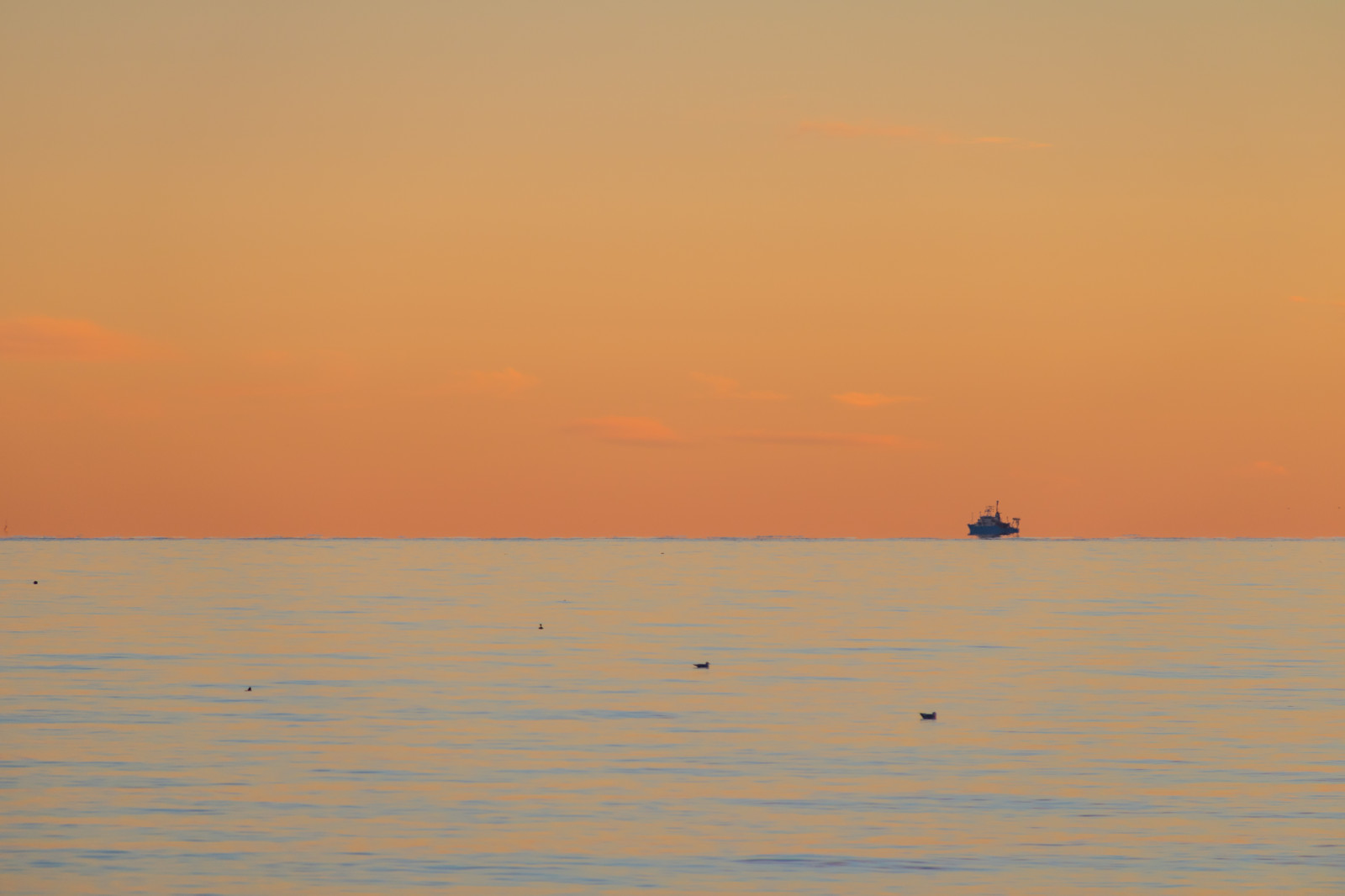 Sonnenlicht, Sonnenuntergang, Meer, Wasser, Ufer, Sand, Himmel, Winter, Strand, Sonnenaufgang, Abend, Morgen, Küste, Sonne, Horizont, Dämmerung, Sol, Wolke, Dämmerung, Ozean, Welle, Himmel, Solnedg ng, Vatten, Vinter, Hav, Geschmolzen, Exif Modell canoneos760d, Geocountry, Kamera macht canon, Geocity, Kameramodell canoneos760d, Geostate, Geolocation, Exif linse efs18200mmf3556is, Exiföffnung 56, Exif focallength 200mm, Exif machen canon, Dalabadet, Exif isospeed 200, Atmosphärisches Phänomen, Nachglühen