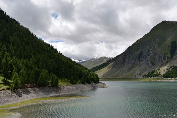 trees,landscape,forest,lake,water,hill