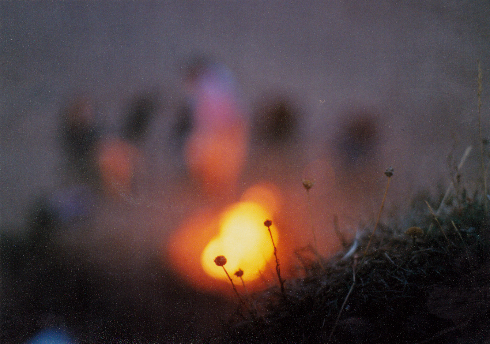 letní, film, pláž, silueta, analogový, 35MM, oheň, 50mm, pentax, bokeh, F14, analog